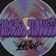 HYBRID GROOVES