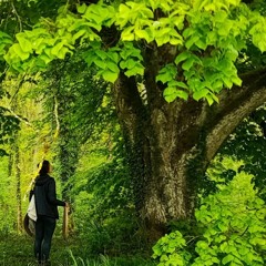 Tant qu'il y aura des Arbres S01E20 – Julie - sagessedelaforêt