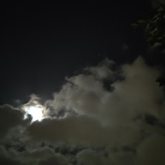 سورة الشعراء كاملة - اسلام صبحي