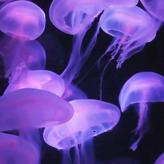 Изучи меня по легким движениям💗-slowed(tik tok)