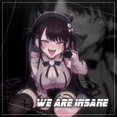 We are Insane!