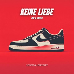 Rin, Bausa - Keine Liebe (Vescu & Leon Afro Edit)