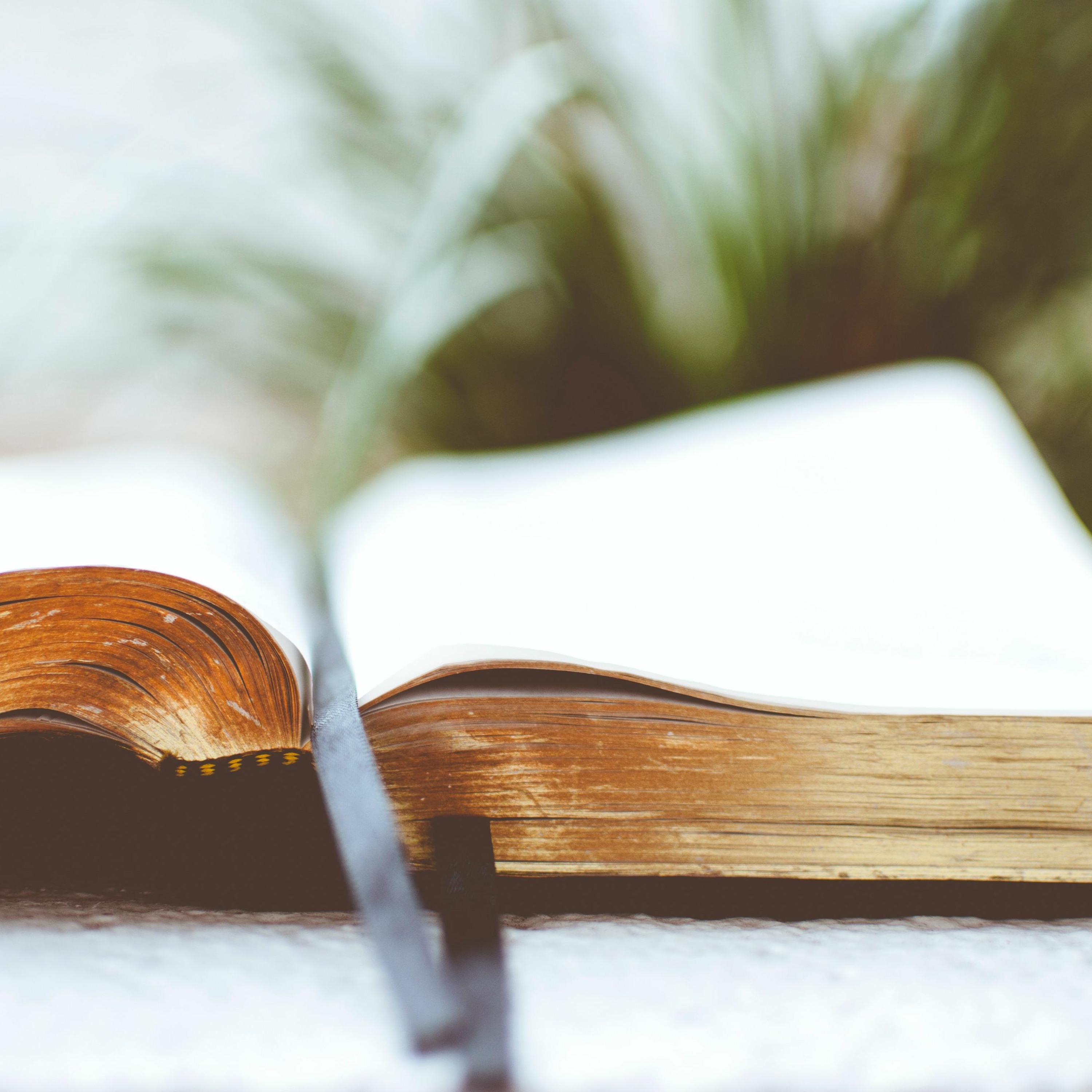 Sermons from Pinelands Baptist