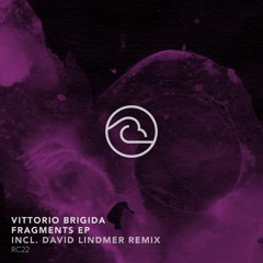 Vittorio Brigida - Your (Original Mix)