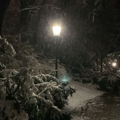 Mollyinmycoke (prod. 1Blazetazzle & Tengo)