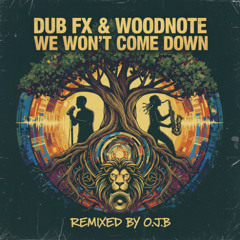 Dub FX - We Won't Come Down (O.J.B. Remix)