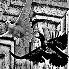 {{CaliphK, sounds of a singing void}}