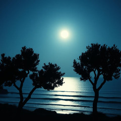 Whispers On The Breeze