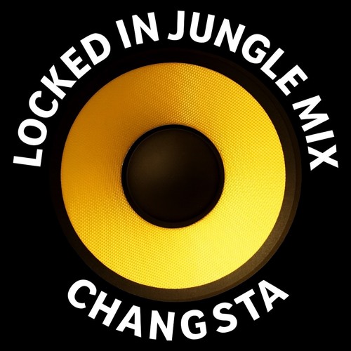 Stream Locked in Jungle Mix by Changsta | Listen online for free on ...