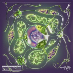 A1. Human Space Machine - Negen