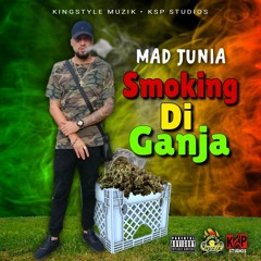 Mad Junia - Smoking Di Ganja - ( Audio Oficial ) Prod FobeMusik X King Style Musik.🇨🇷🇯🇲