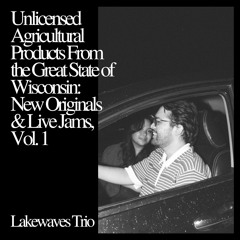 Lakewaves Trio - Up For The Down Beat (Jam)