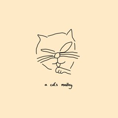 a cat's medley