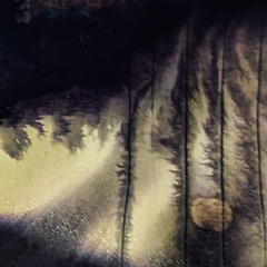 Polar eyes