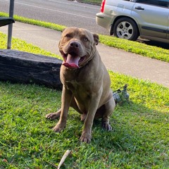 Mechanic rmx 🍻🔊