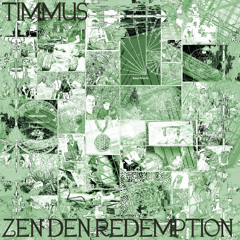 2 Timmus - The Real Quint Funkstrum after all (Original Mix)