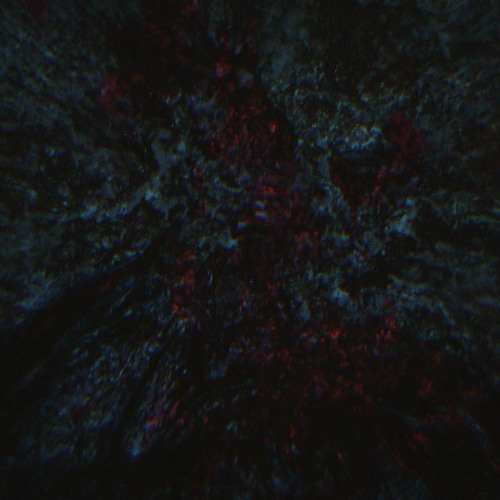 Stagnant Corpse - Technology of Death