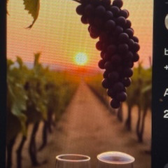 DJ Harald der Winzer