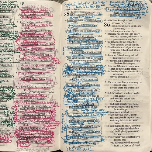 Psalm 85