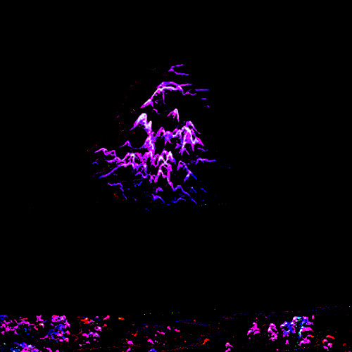 Sorry About Everything