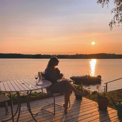 Din Soldat VS Heaven Takes You Home - Albin Johnsén VS SHM (Lunkan Mashup)