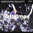 Sander van Doorn x Selva x Macon - Raindrops (feat. Chacel) [Nyad Remix]