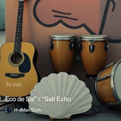 salt-echo.