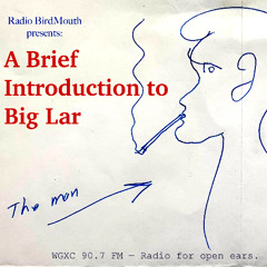 A brief Introduction to Big Lar
