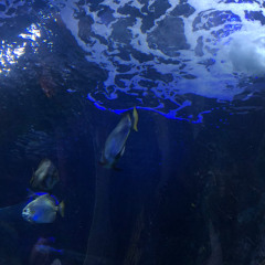 unorthodox (mee45) #COnVerSAte