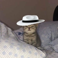 los tralalecitos dicen tralala - slowed