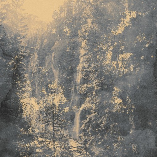 Anasisana - Reasoning