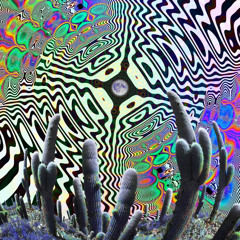 Psy Set Boern E Verse