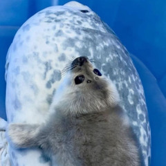 lights out // c : [beat]