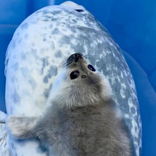 lights out // c : [beat]