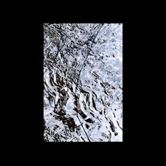 L7_Focus | Free Download