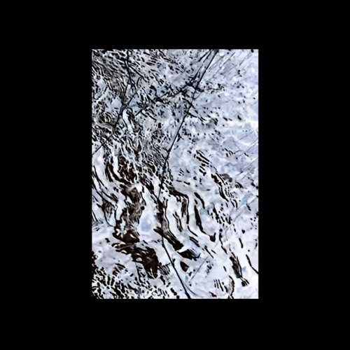 L7_Focus | Free Download