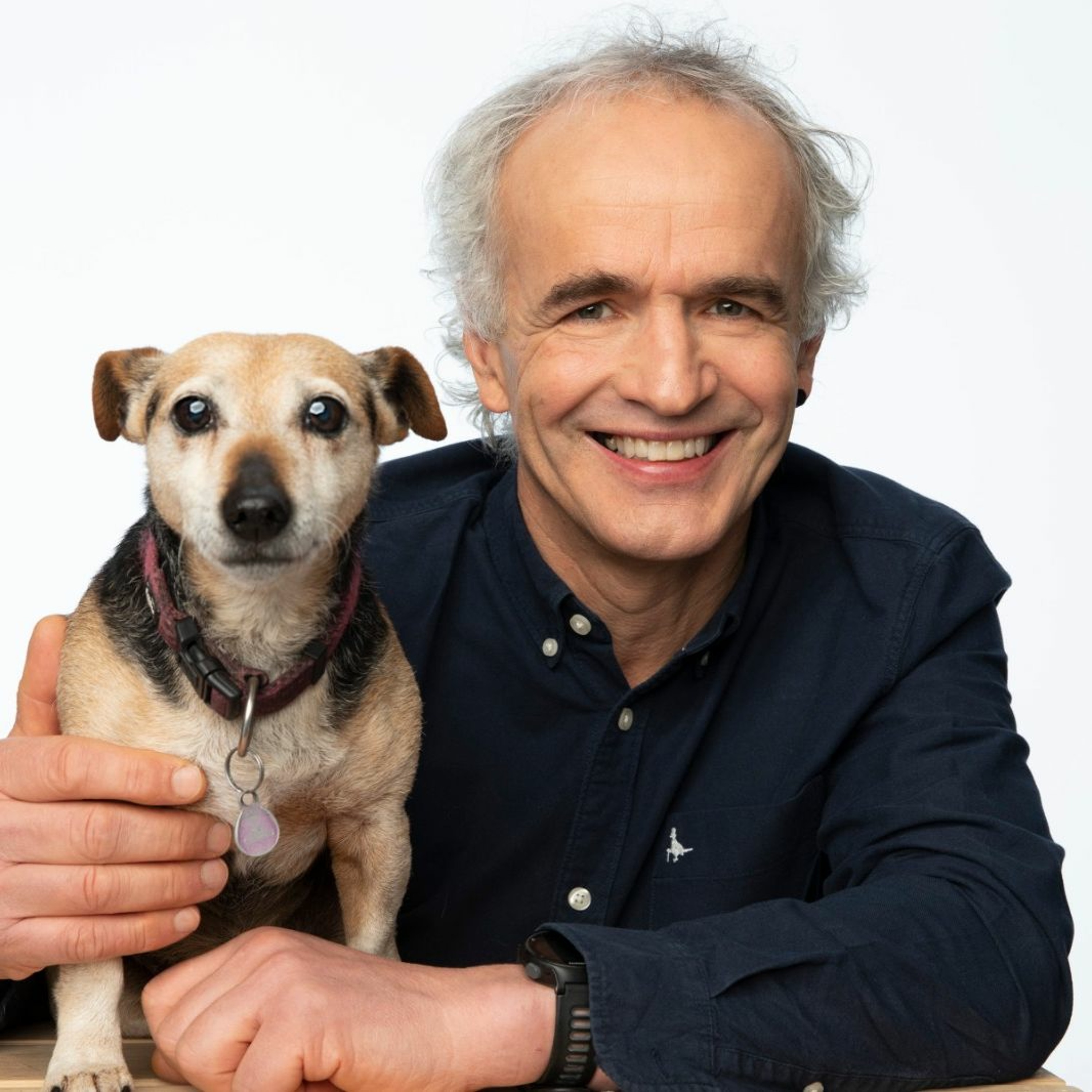 When dogs swallow objects that cause a blockage