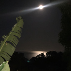 Dyda- Full Moon (Freestyle mode 1)