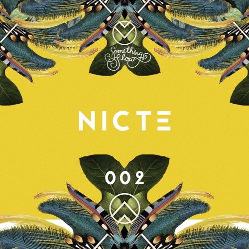 Nicte | Pankow