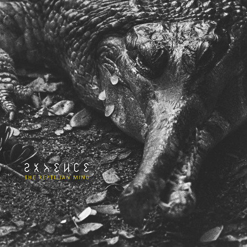 SKYENCE - Rays (feat. LIOBA)