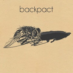 WINDOWPANE [BACKPACT - FLY EP 2020]