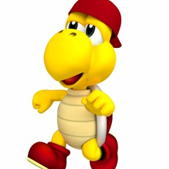 Koopa Cooks By The Book