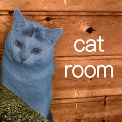 Cat Room