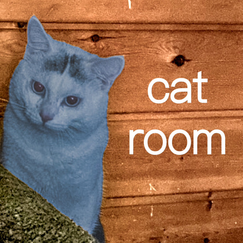 Cat Room