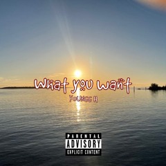 What You Want