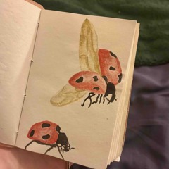 coccinelle freestyle (mh)