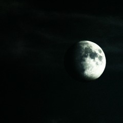 Lanxius – Moonlit (Orchid Beat Contest)