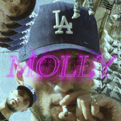 MOLLY (Prod. Big J the producer)