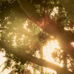きみのきせつ | Your Season 너의 계절