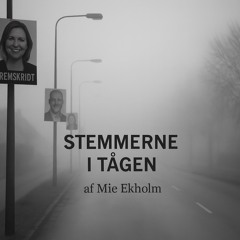 Stemmer i tågen.mp3